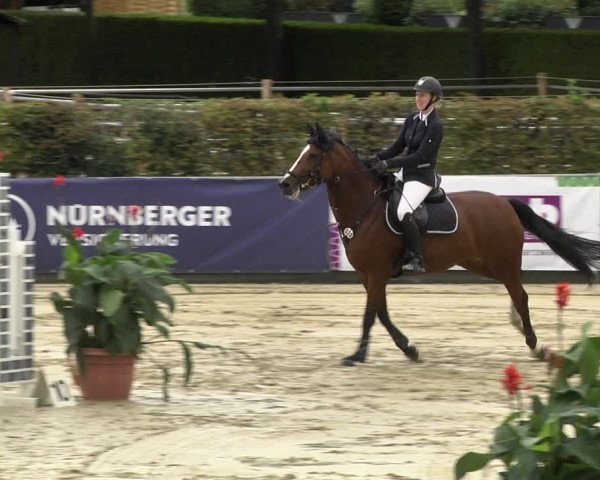 Reitturnier Schutterwald 2020