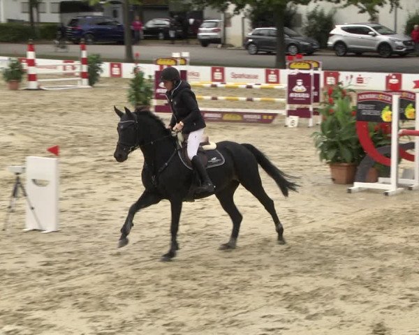 Reitturnier Schutterwald 2020