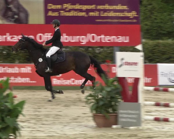 Reitturnier Schutterwald 2020
