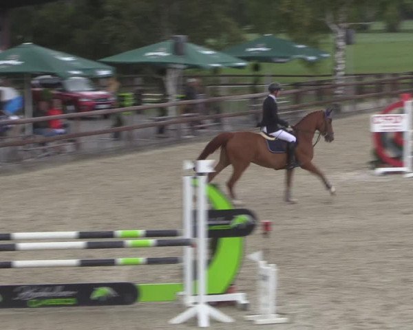Reitturnier Kirchhellen/Stall Dieckmann 2020