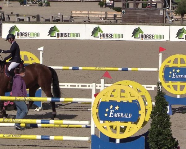 FEI Reitturnier Lier (BEL) 2020