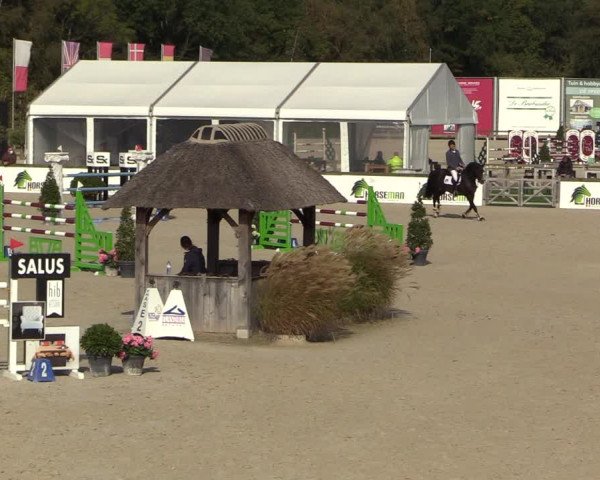 FEI Reitturnier Lier (BEL) 2020