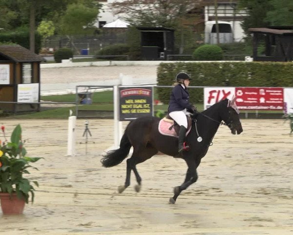 Reitturnier Schutterwald 2020