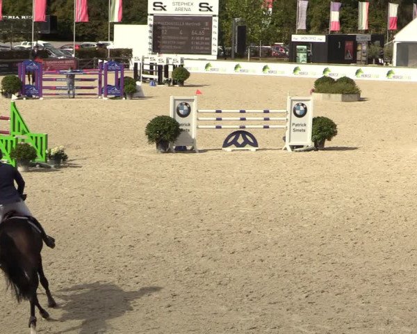 FEI Reitturnier Lier (BEL) 2020