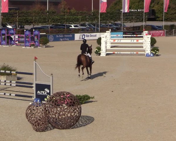 FEI Reitturnier Lier (BEL) 2020