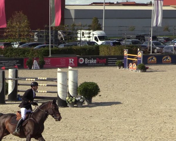FEI Reitturnier Lier (BEL) 2020