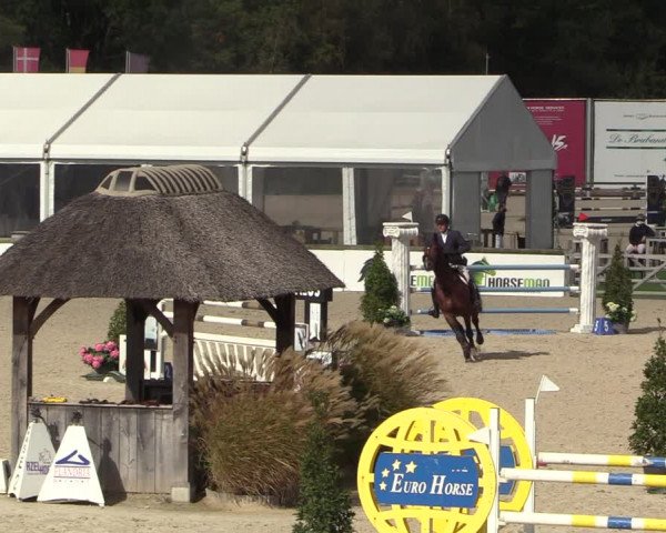 FEI Reitturnier Lier (BEL) 2020