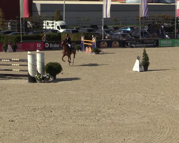 FEI Reitturnier Lier (BEL) 2020