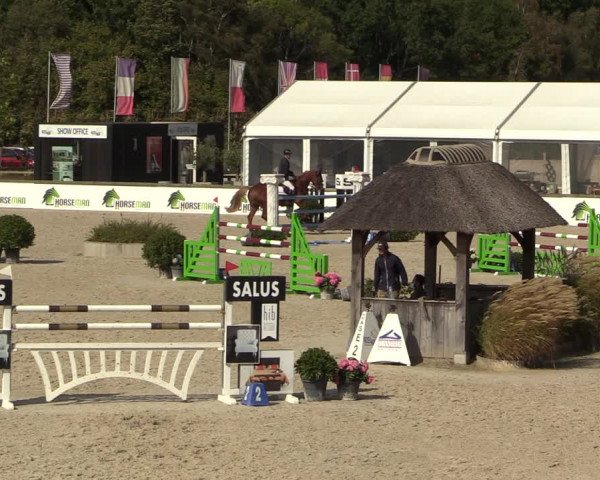FEI Reitturnier Lier (BEL) 2020