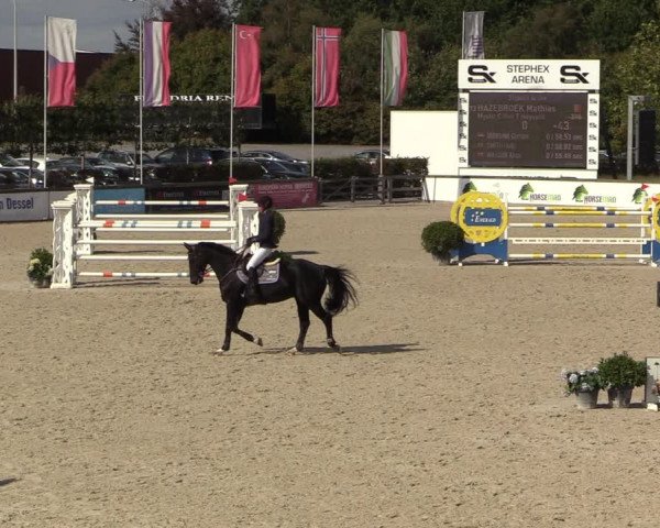 FEI Reitturnier Lier (BEL) 2020