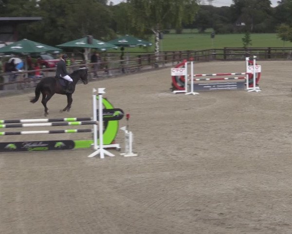Reitturnier Kirchhellen/Stall Dieckmann 2020