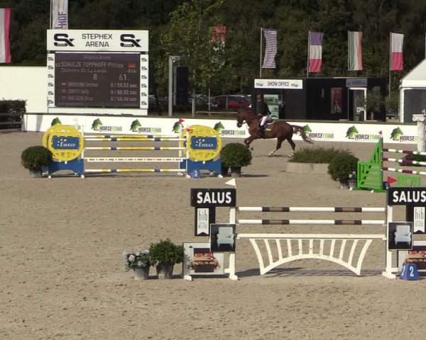 FEI Reitturnier Lier (BEL) 2020