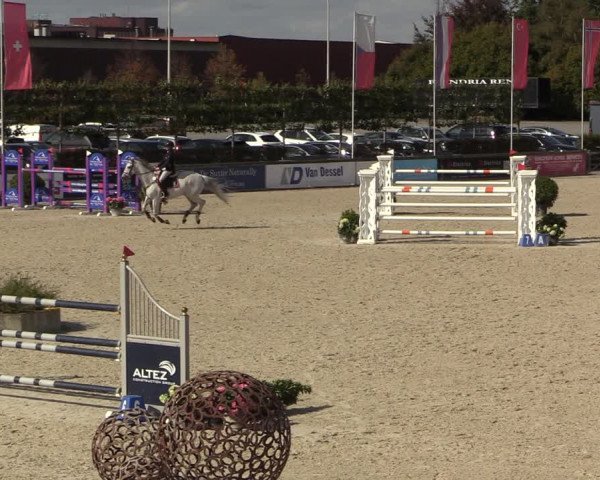 FEI Reitturnier Lier (BEL) 2020