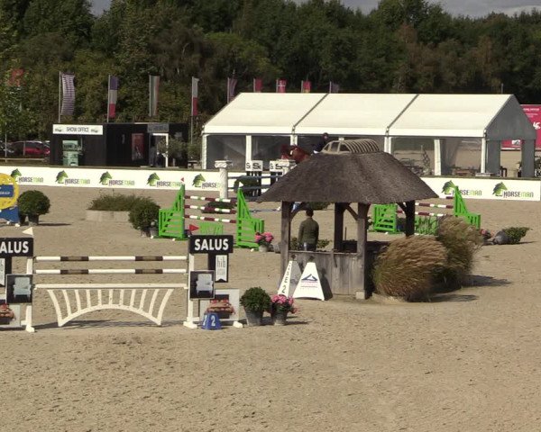FEI Reitturnier Lier (BEL) 2020
