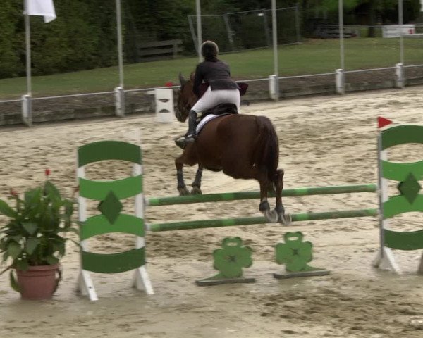 Reitturnier Schutterwald 2020