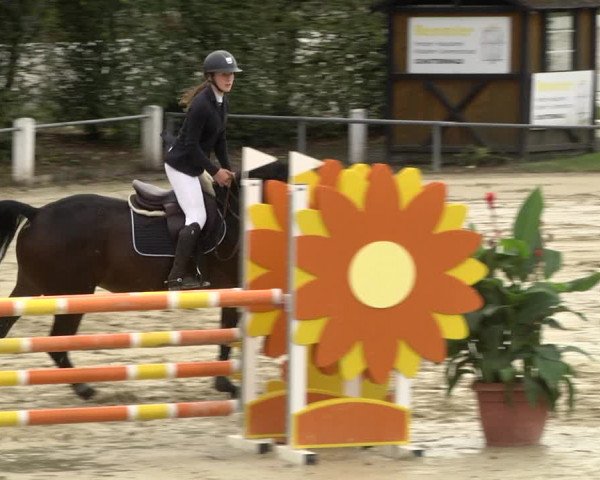 Reitturnier Schutterwald 2020