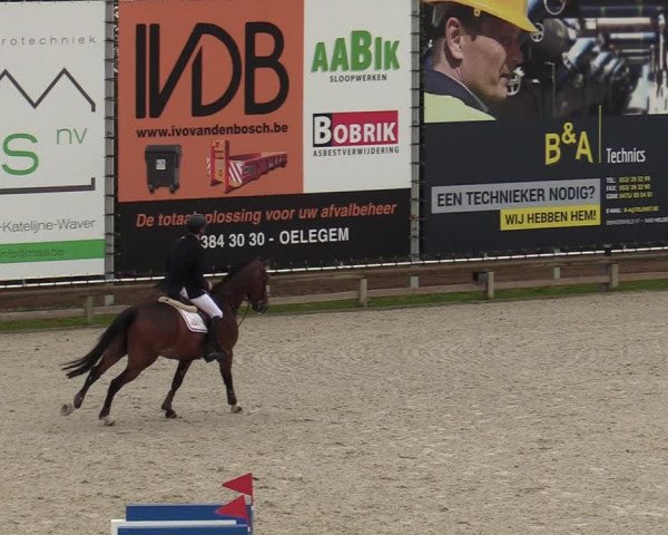 FEI Reitturnier Lier (BEL) 2020