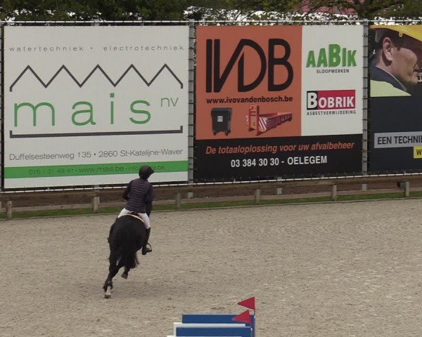 FEI Reitturnier Lier (BEL) 2020