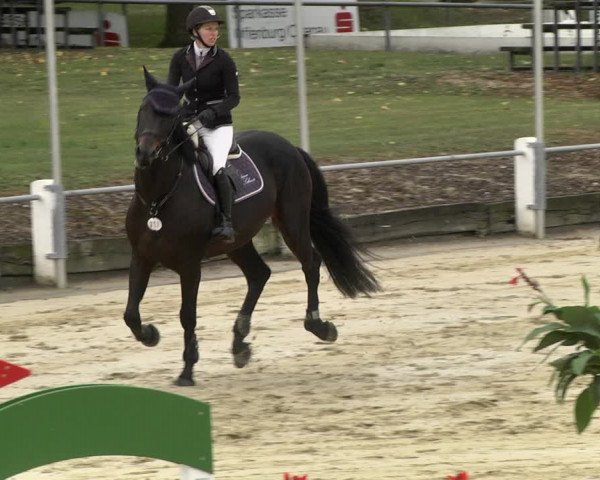 Reitturnier Schutterwald 2020