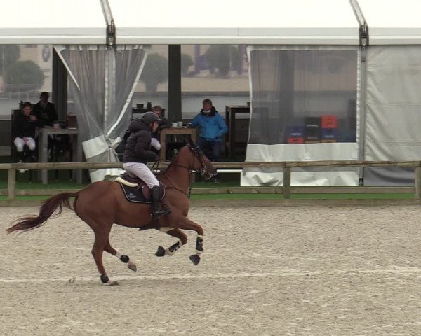 FEI Reitturnier Lier (BEL) 2020