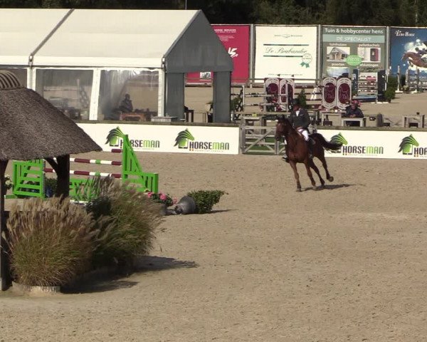 FEI Reitturnier Lier (BEL) 2020