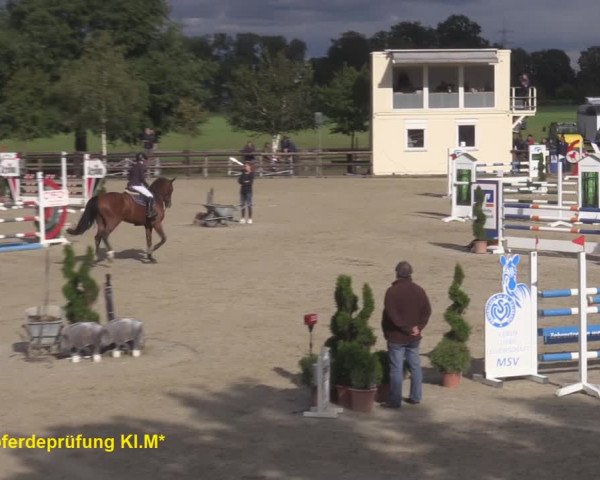 Reitturnier Kirchhellen/Stall Dieckmann 2020