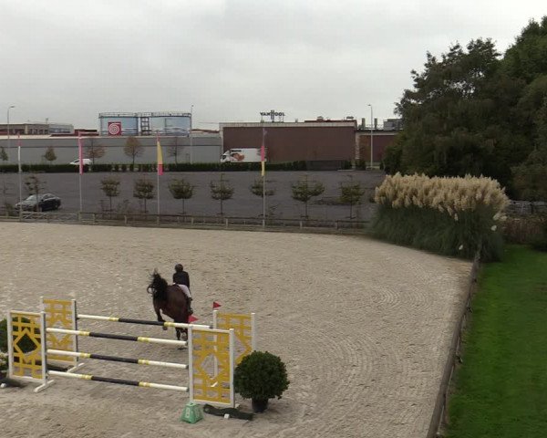 FEI Reitturnier Lier (BEL) 2020