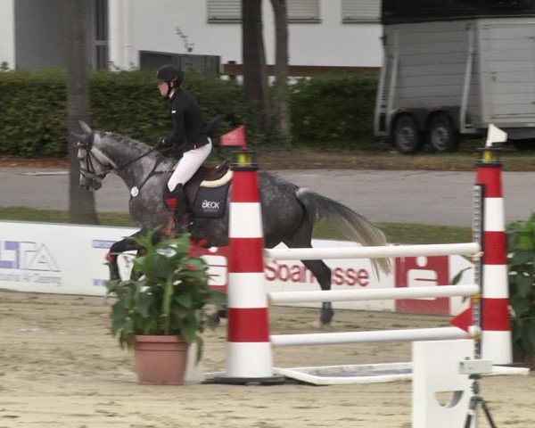 Reitturnier Schutterwald 2020