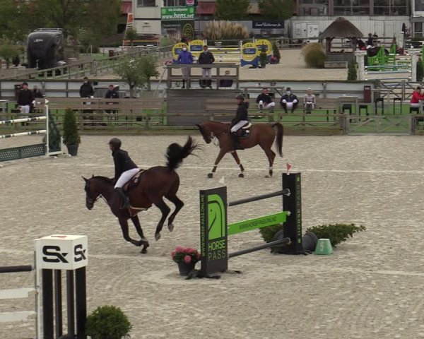 FEI Reitturnier Lier (BEL) 2020