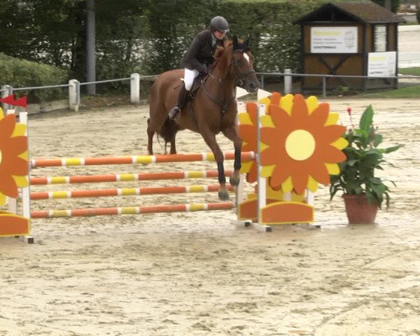 Reitturnier Schutterwald 2020