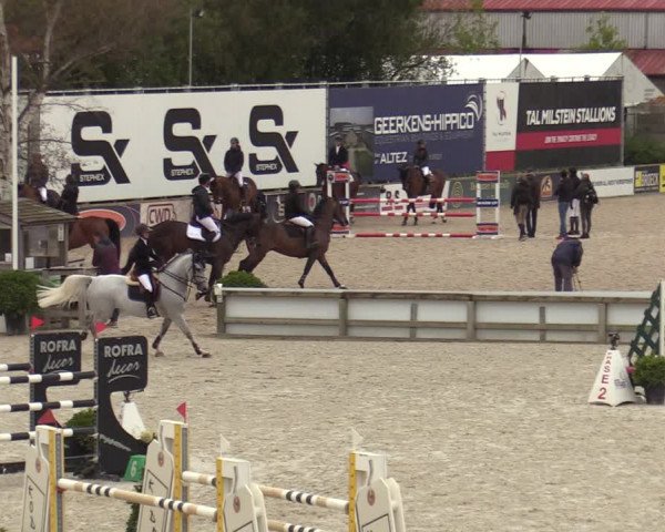 FEI Reitturnier Lier (BEL) 2020
