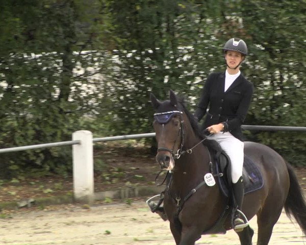 Reitturnier Schutterwald 2020