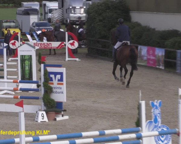 Reitturnier Kirchhellen/Stall Dieckmann 2020