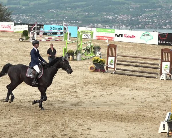 Reitturnier Wädenswil 2020