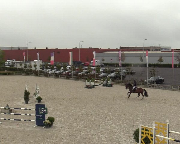FEI Reitturnier Lier (BEL) 2020