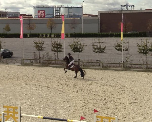 FEI Reitturnier Lier (BEL) 2020