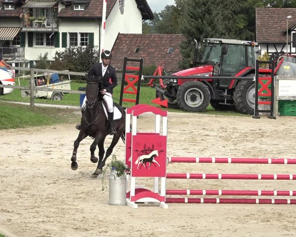 Reitturnier Wädenswil 2020