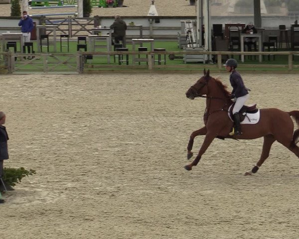 FEI Reitturnier Lier (BEL) 2020