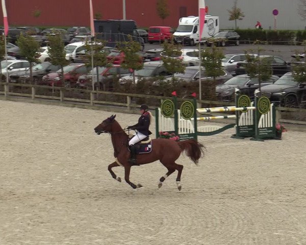 FEI Reitturnier Lier (BEL) 2020