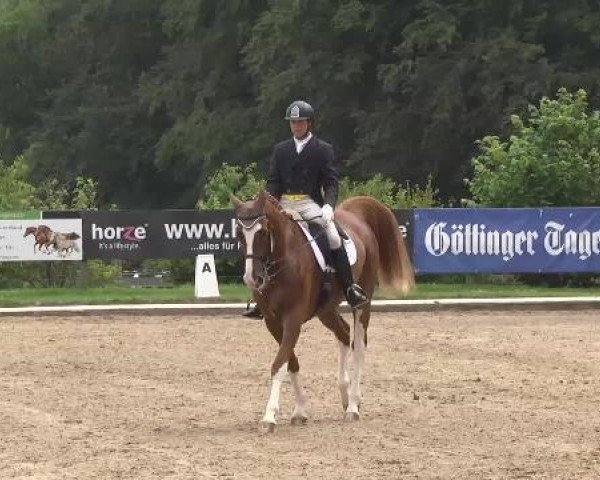dressage horse Dai Colori Vistosi (Hanoverian, 2006, from Danone 4)