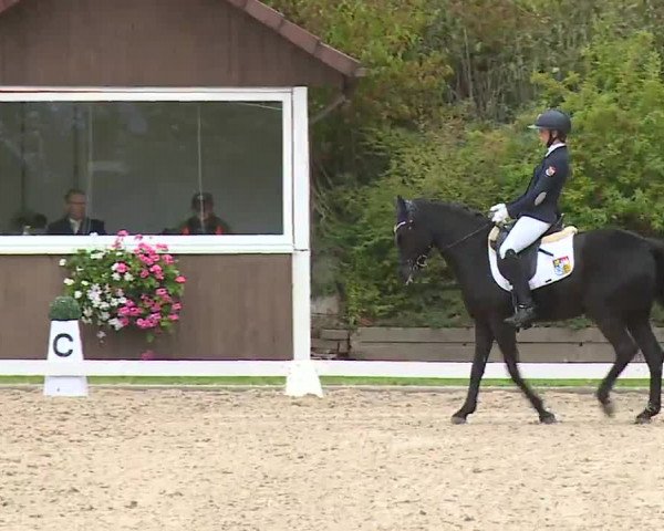 Reitturnier Remlingen/Ufr. 2020