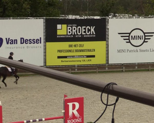 FEI Reitturnier Lier (BEL) 2020