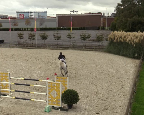 FEI Reitturnier Lier (BEL) 2020