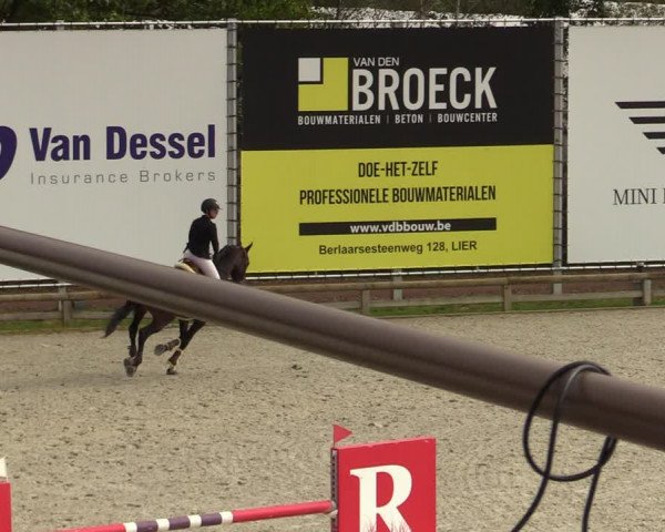 FEI Reitturnier Lier (BEL) 2020