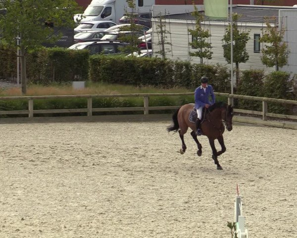 FEI Reitturnier Lier (BEL) 2020