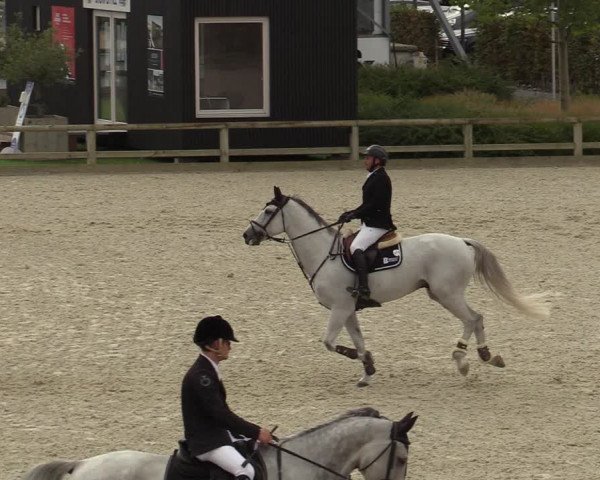 FEI Reitturnier Lier (BEL) 2020