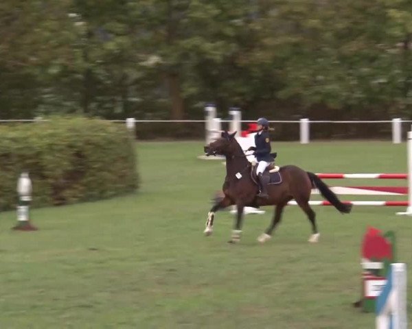 Reitturnier Remlingen/Ufr. 2020