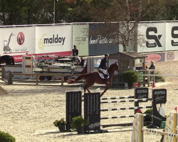 FEI Reitturnier Lier (BEL) 2020
