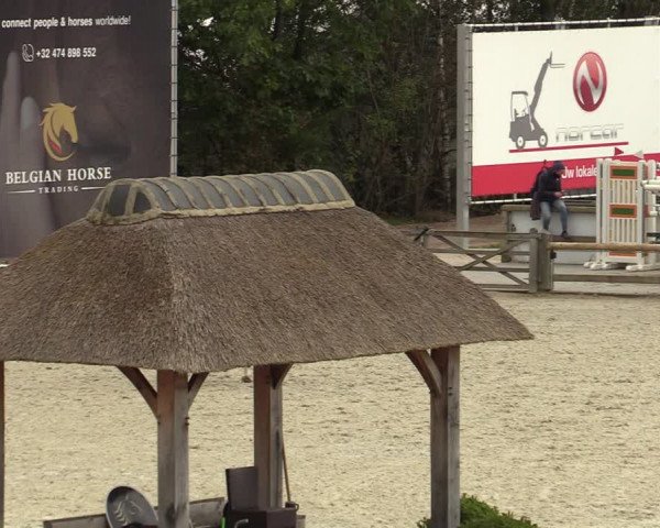FEI Reitturnier Lier (BEL) 2020