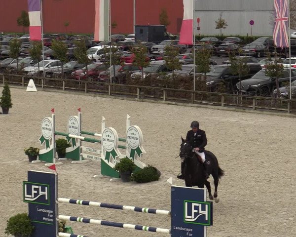 FEI Reitturnier Lier (BEL) 2020